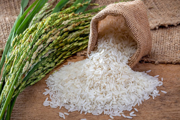 Rice Export India
